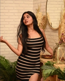 Udaipur Escort