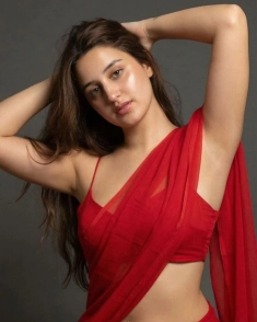 Udaipur escort