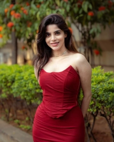 Udaipur Escort Services