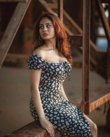 Udaipur Call Girl Service